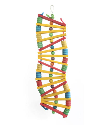 Adventure Bound Zig Zag Parrot Toy